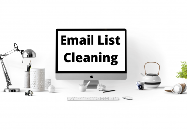 I will provide email list cleaning service in 24hrs