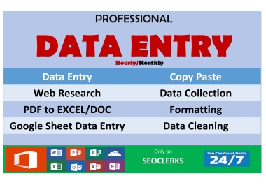 I will do excel data entry and copy paste job 