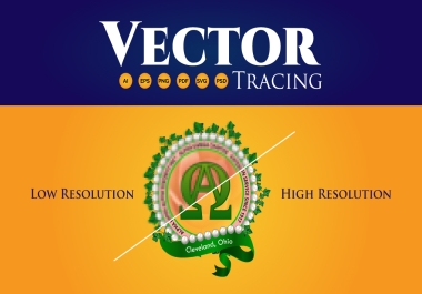 Convert Your Graphic Or Logo To Vector In 24 Hours