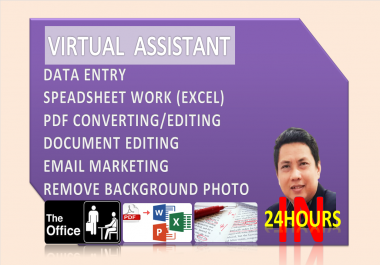 Virtual Assistant for data entry,  converting,  editing doc,  Email Marketing