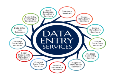 I will do data entry,  excel data entry,  PDF to excel,  PDF to word.