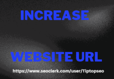 I will increase trust flow 20+ permanent of your website URL majestic results