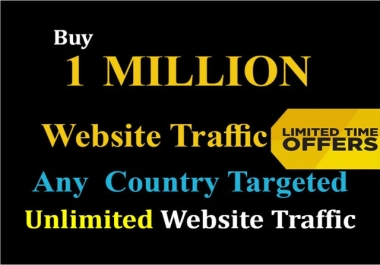 1 Million Organic Worldwide niche targeted website traffic