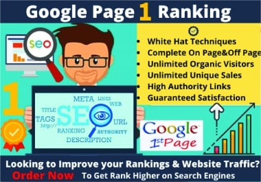 Skyrocketing Monthly SEO for ranking