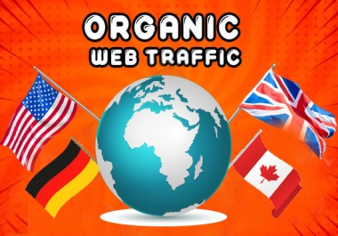 I will drive USA and europe visitors,  niche targeted,  organic web traffic