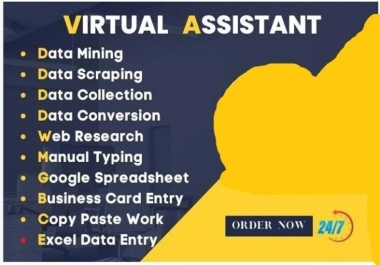 executive virtual personal assistant