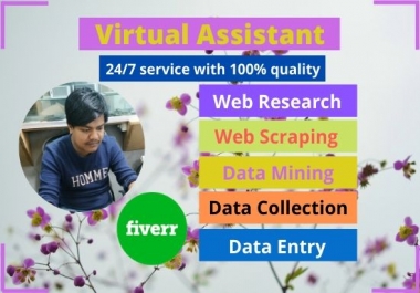best virtual assistant,  data entry and web research