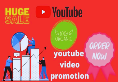 Youtube Video Seo and Promotion by our Team