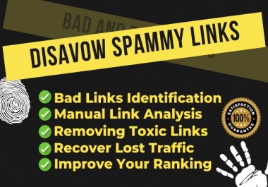I will disavow spammy or toxic backlinks to your website