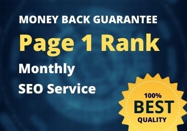 provide monthly SEO service to rank website on top of google