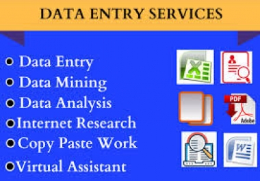 I can do any types of Data Entry