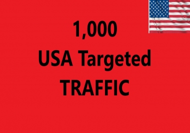 Send 1,000 USA Targeted Traffic to Your site
