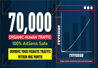 Improve your website revenue with tier 1 - 70k+ organic AdSense-safe Human Traffic