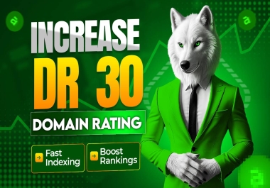 Increase DR 30 Of Your Website Get Domain Rating By Ahref