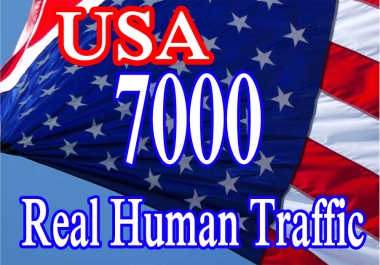 7000 USA Targeted Web Traffic in few Days