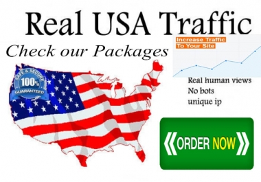 Drive 100,000 USA Keyword Targeted, Organic Website Traffic By Google yahoo bing