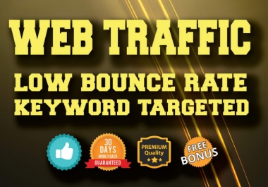 30000 Worldwide traffic cheap and faster delivery 