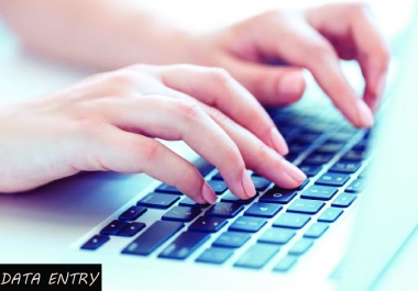 I will make accurate data collection,  data mining,  data entry and web scraping
