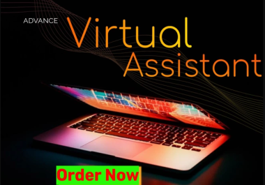 Virtual assistant for email collection web research data entry