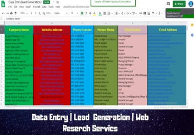 I will do fastest and accurate Excel Data Entry Job