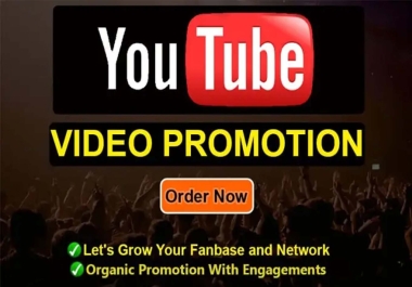 i will do YouTube Video Promotion via social network 