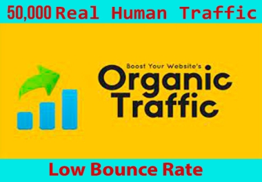 50,000 Real Human Traffic To Your Website
