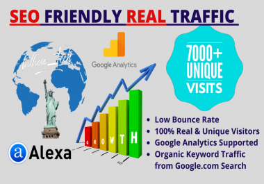 I will send real visitors,  targeted web traffic