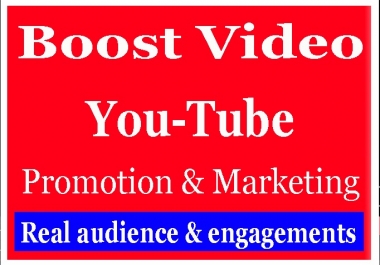 Best YouTube Video Promotion and very fast Delivery