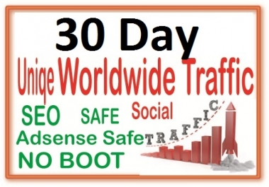 Do 30 Day Targeted Human Traffic from search engine and social media
