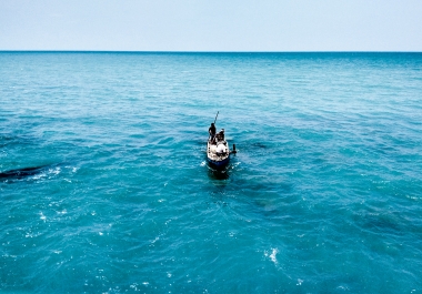 Edit images of landscapes,  portraits or events