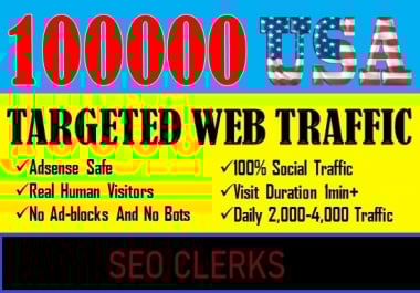 I will provide real visitors through organic search traffic for your website, blog