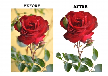 5 Photoshop Background Remove Service in low cost