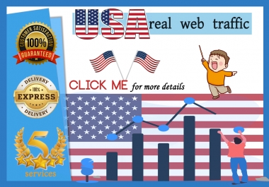 i will send USA REAL TRAFFIC for your website