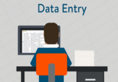 Be your Professional Data Entry Opertor