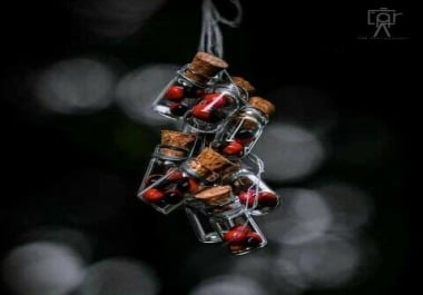 Directories submission 1000 backlinks within 5 hour