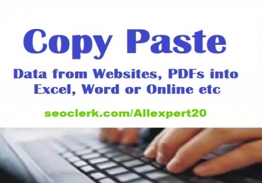 I will do excel data entry,  typing,  data entry,  copy paste.