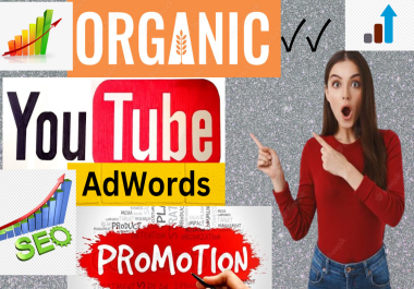 Professional YouTube Video Promotion Fast Delivery