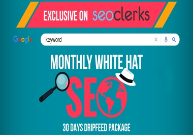 I Will Build Monthly Quality Backlinks SEO Package