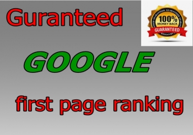 Rank your website in GOOGLE first page,  guranteed