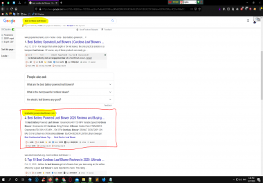 I will rank your website in google search engine first page grantee