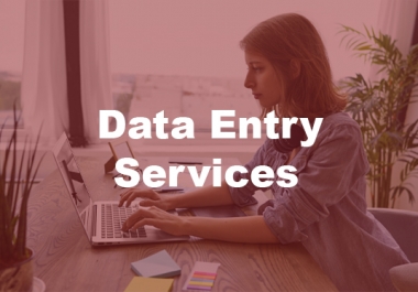 I will do the best data entry,  copy paste and typing job for you