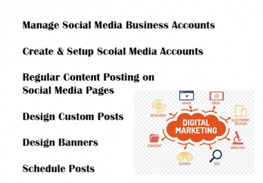 I will manage your social media business pages