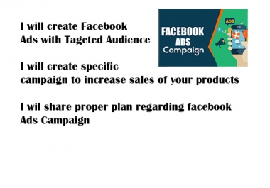 I will create facebook ads with targeted Audience to increase sales