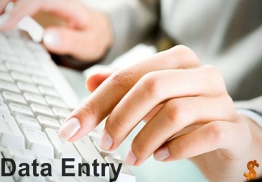 data entry, data analysis,  data mining, conversion