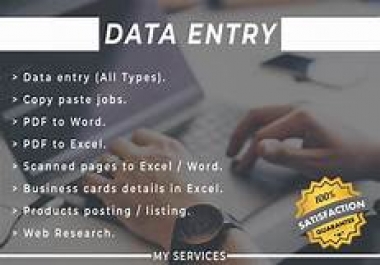 Reliable & Flexible Data Entry Assistant