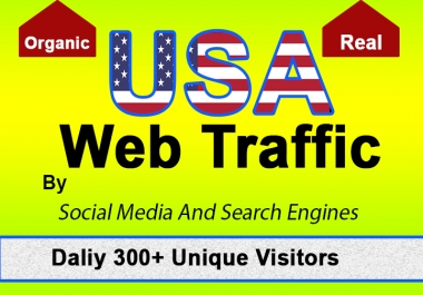 USA Web traffic safe and organic for 30 days