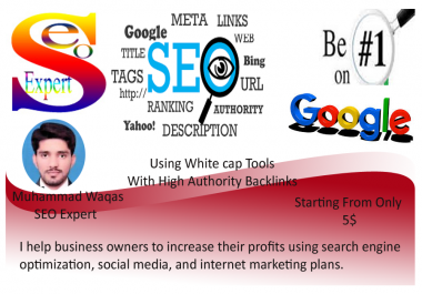 provide 100 high authority dofollow backlinks
