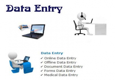 DATA ENTRY WORK FAST SERVICE 100 PERCENT SATISFACTION