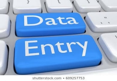 I'll do data entry,  copy paste work for you on time.