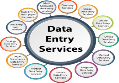 I Can Do Any Kind Of Data Entry work